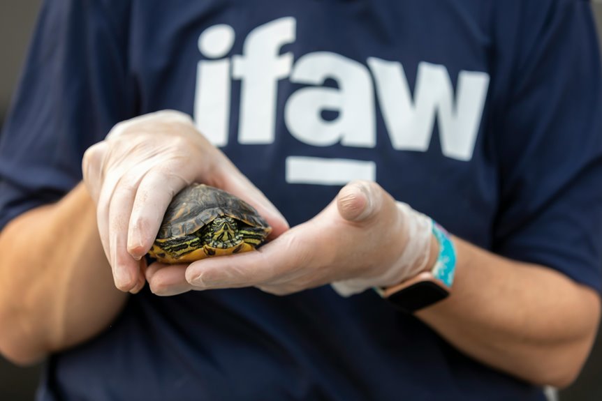 wildlife protection writing services